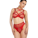 Aurora Red Brief