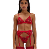 Ami Red Brief