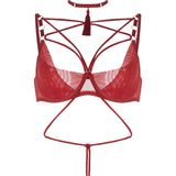 Kasumi Red Bra & Chocker set